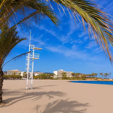 Javea Daire